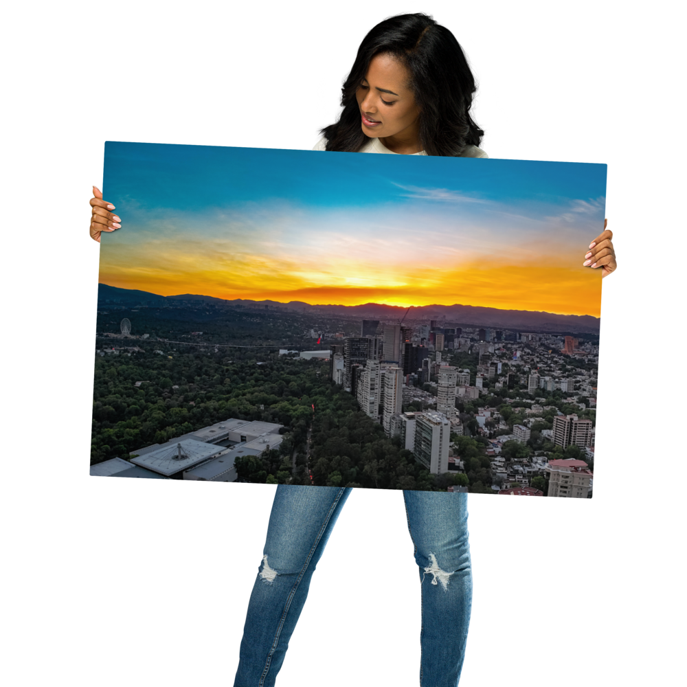 glossy-metal-print-(in)-white-24x36-front-661ffc8f7803d.png