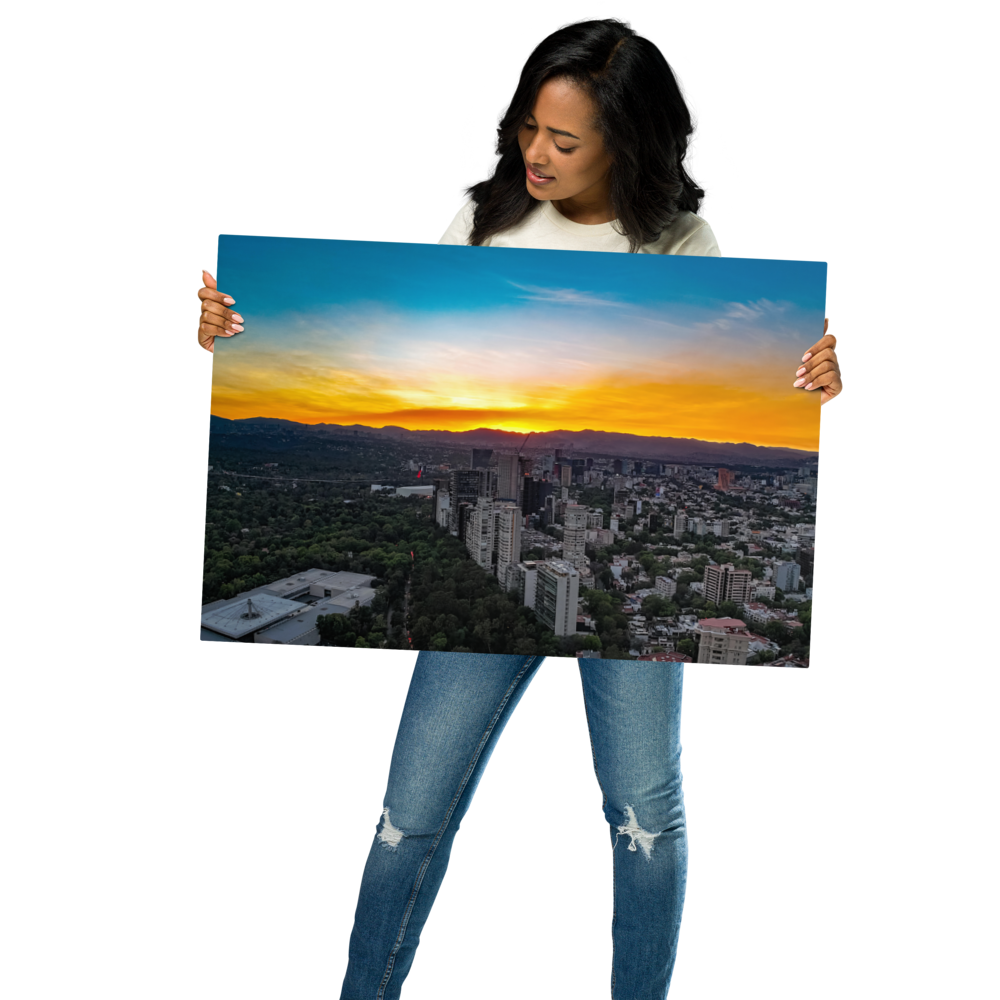 glossy-metal-print-(in)-white-20x30-front-661ffc8f77cd3.png