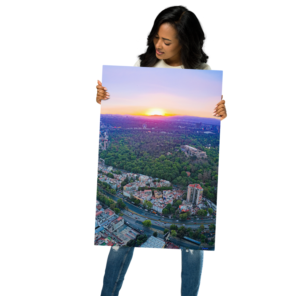 glossy-metal-print-(in)-white-20x30-front-66205dfb4069b.png
