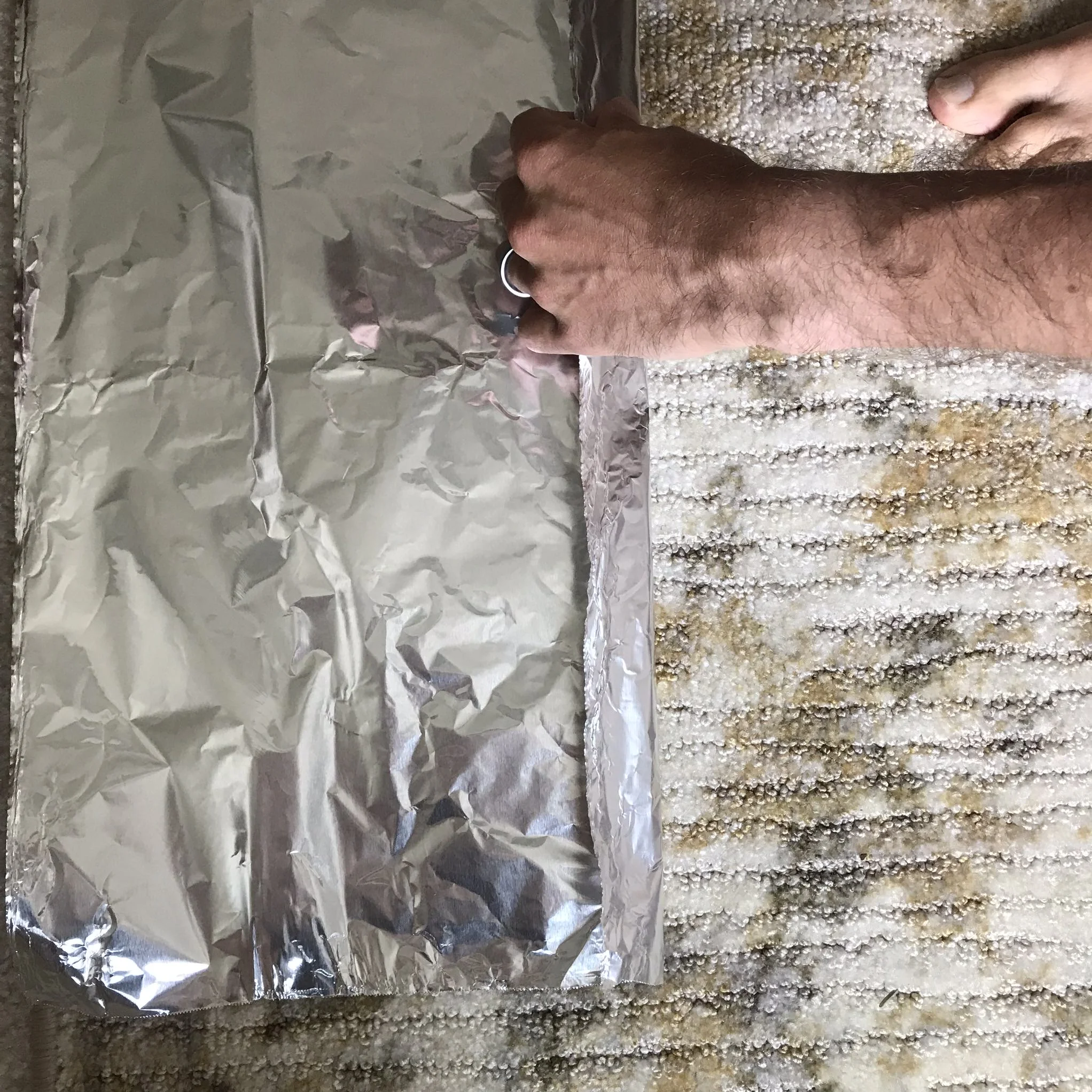 foil3.jpg