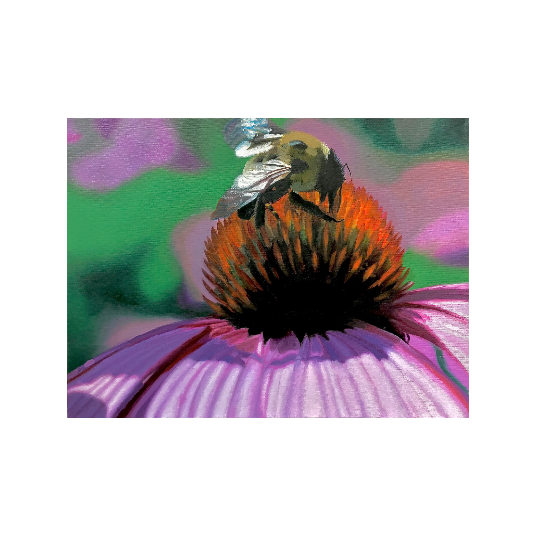 Bee on Echinacea.png