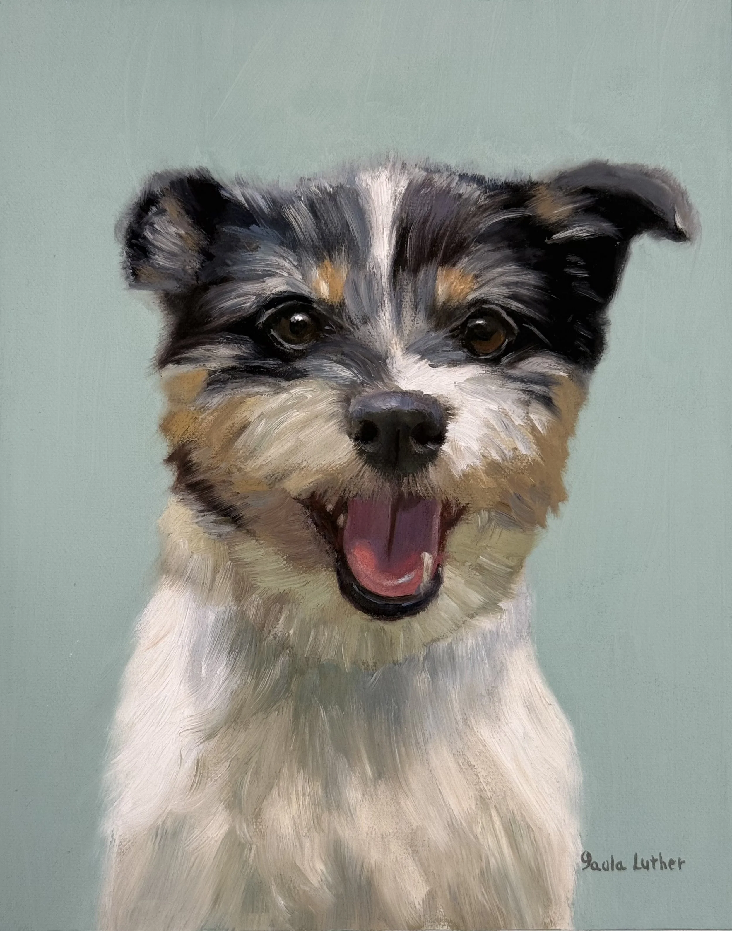 Mix Jack Rusell terrier Rosie 8x10