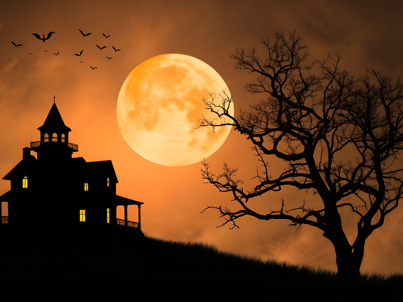 Toxic Workplaces Are Scarier Than Any Haunted House