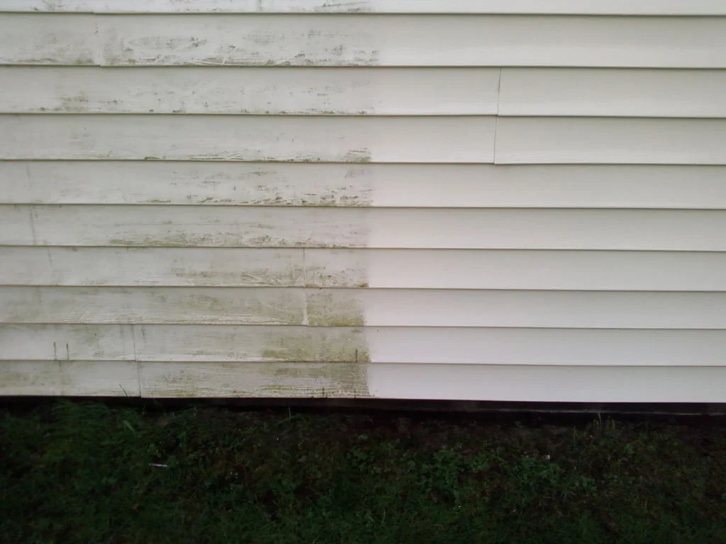 Siding-Cleaning.jpg