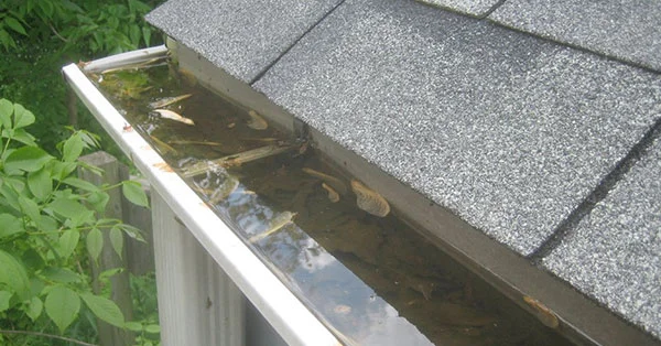 signs-you-have-clogged-gutters-2nd-image-2017.jpg