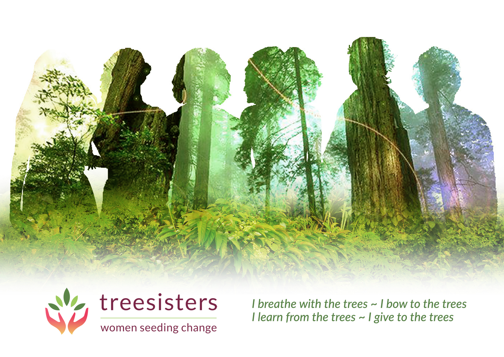 TreeSisters flyer frontv5.jpg