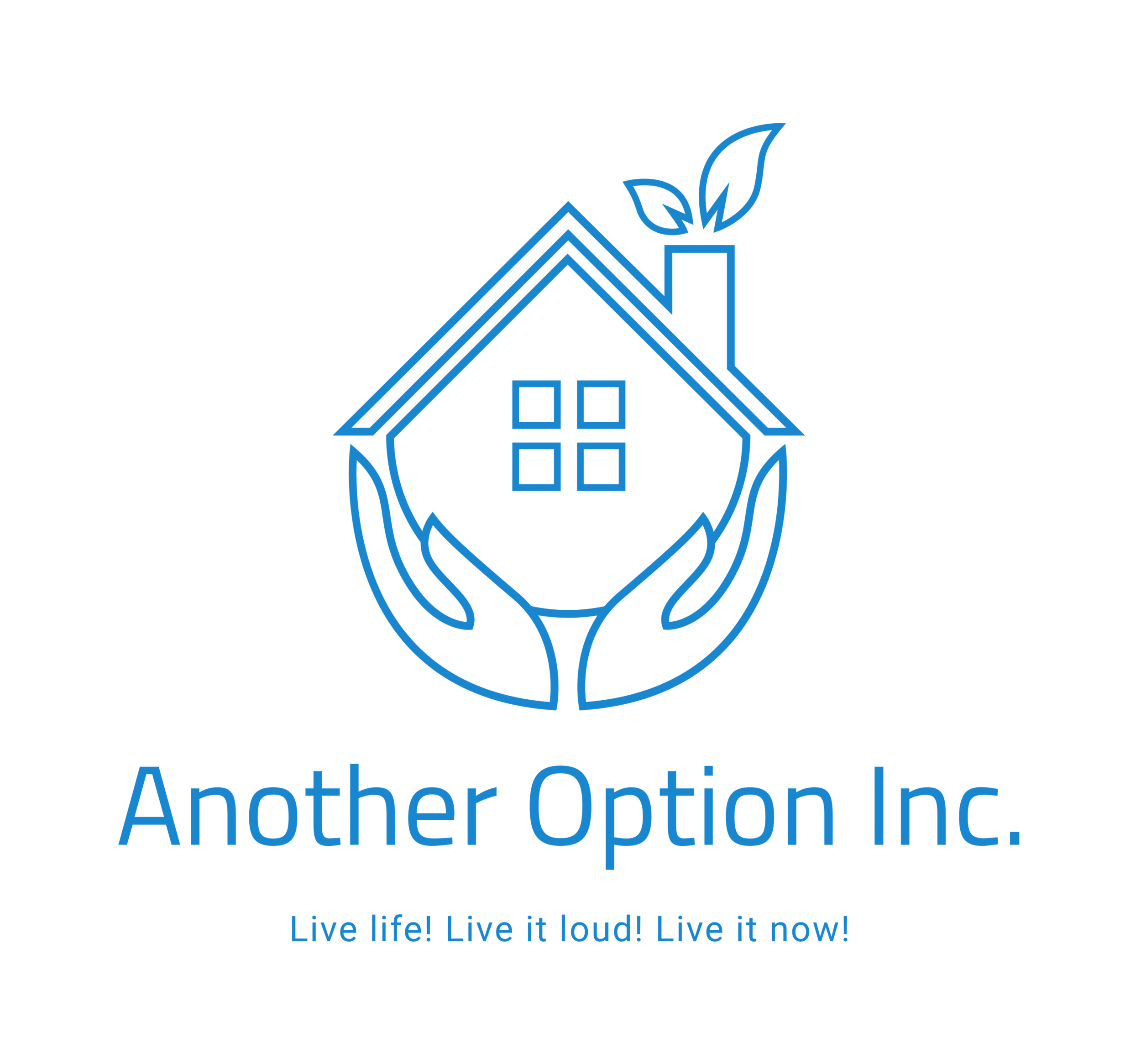 Another Option Inc.