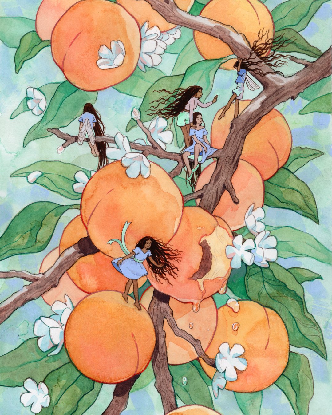Apricot Fairies