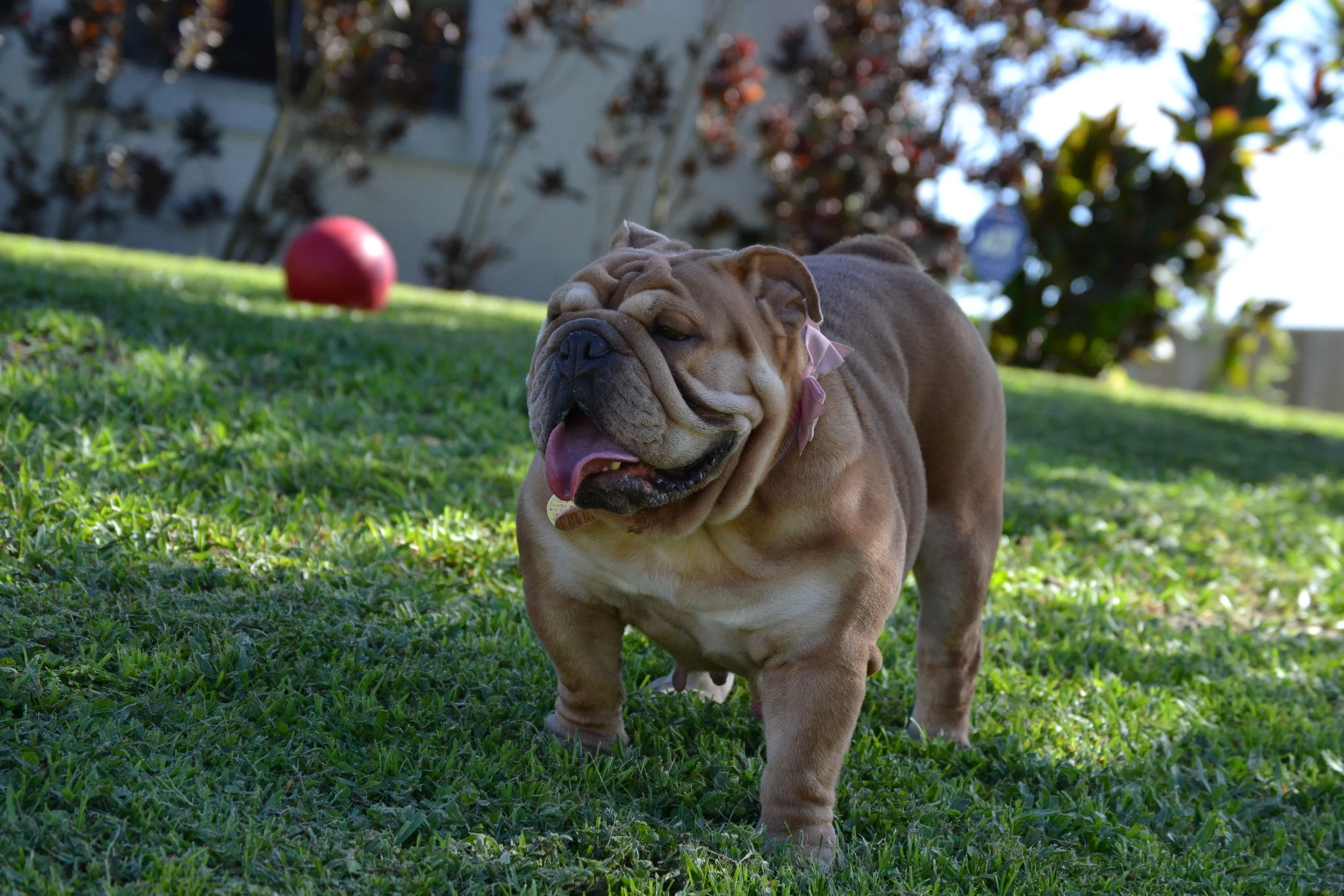 DSC_0037.JPG