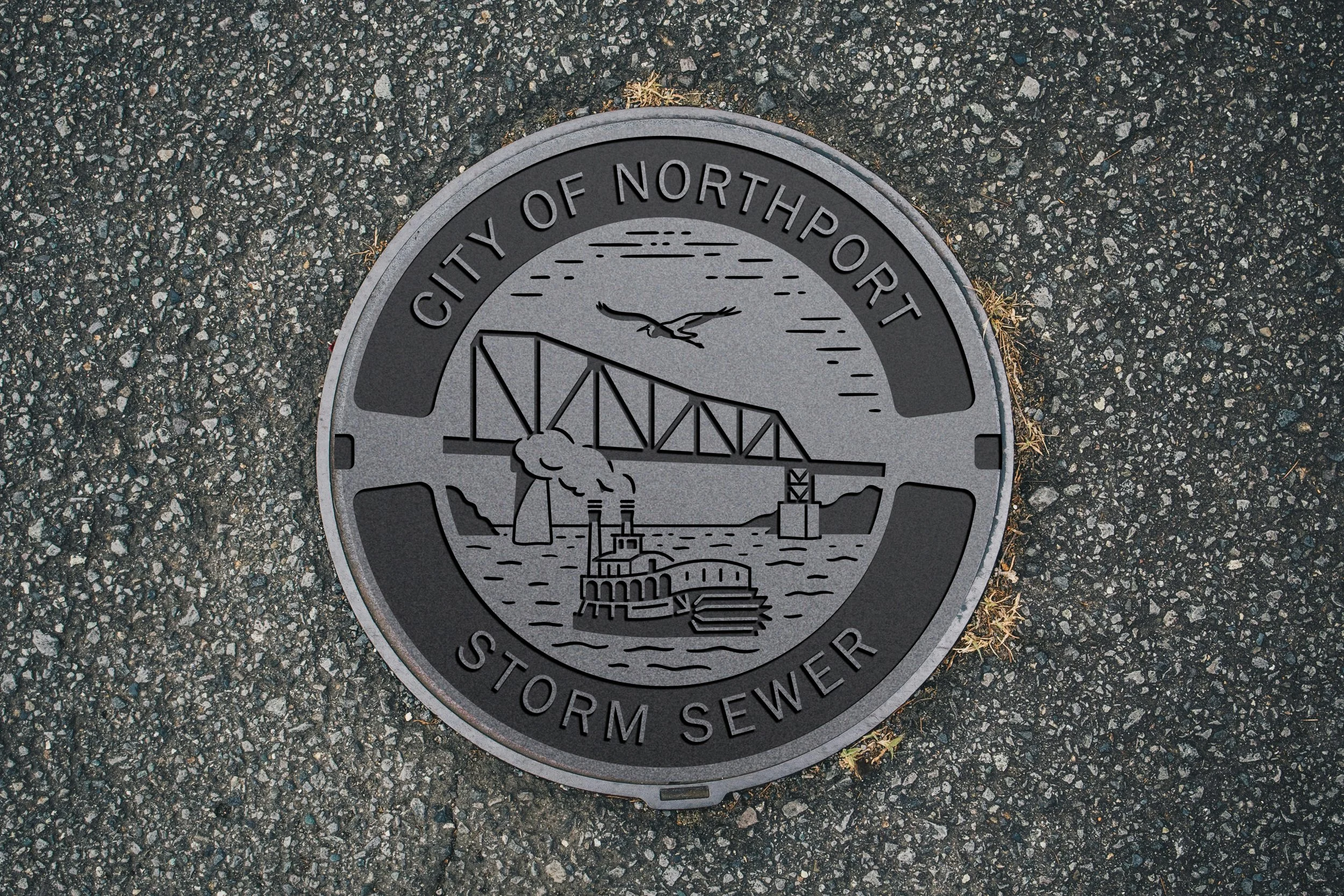 Northport-Seal-6.jpg