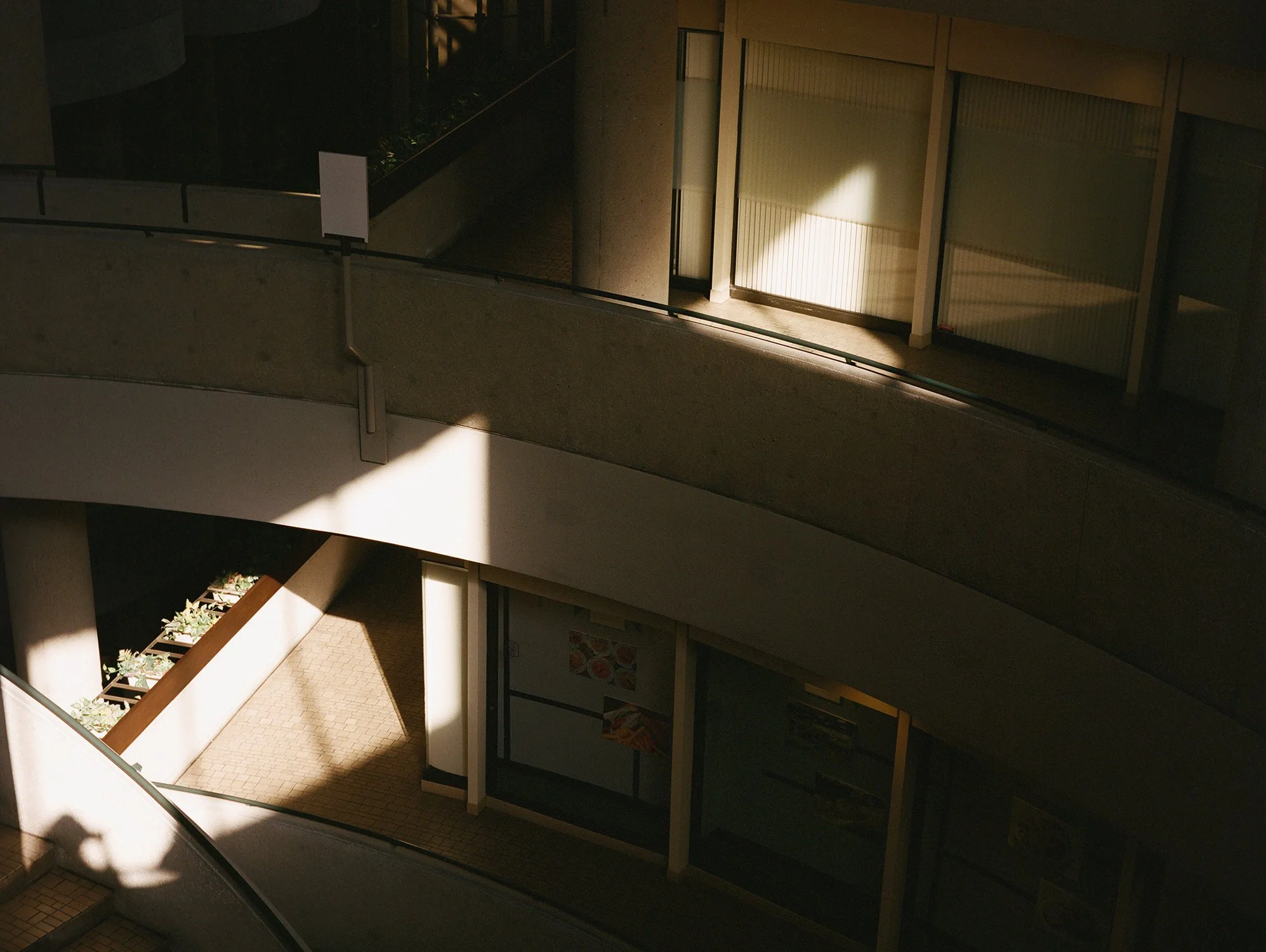 JoyceLee_BV_Atrium.jpg
