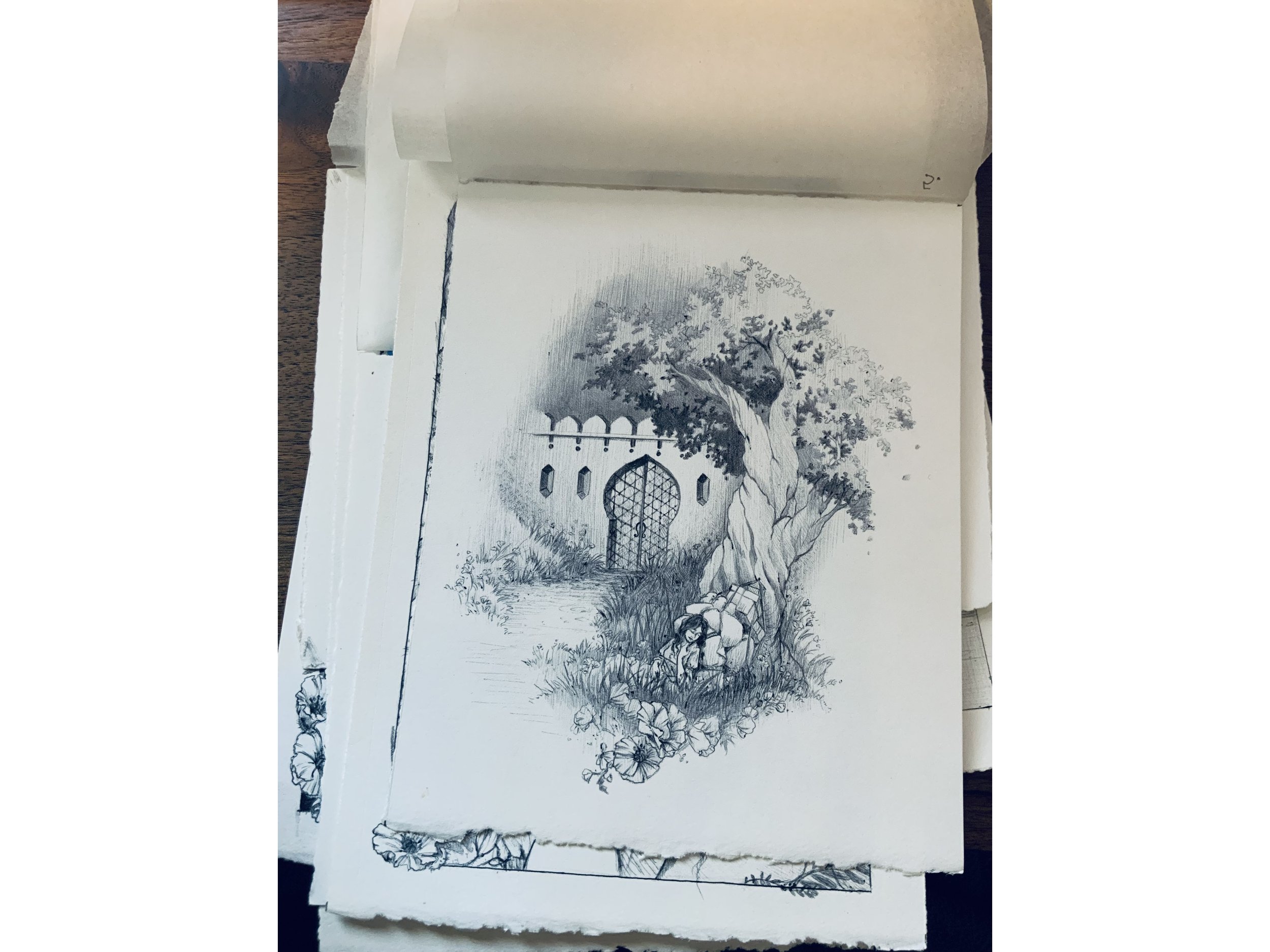 IMG_5851_0046_Inserted Image.jpg