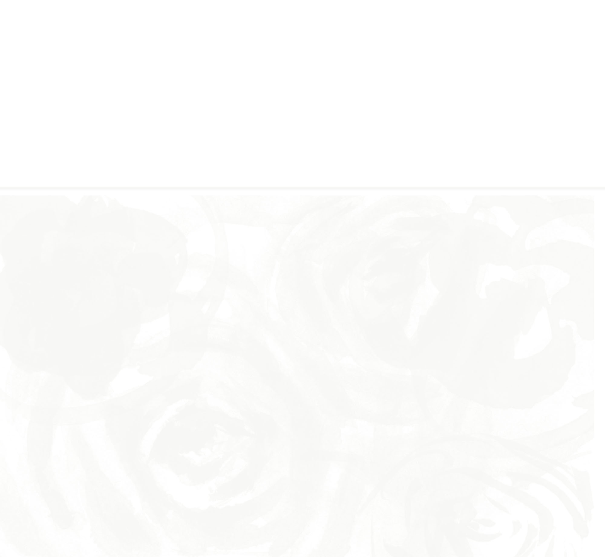 Website Background Cream.jpg