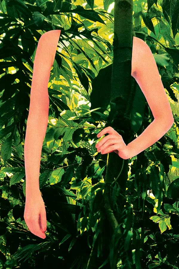 Image de forêt Flacon parfum Margiela Replica Soul of the forest