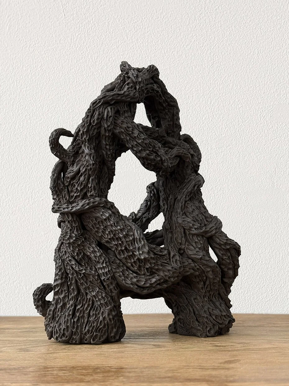   Dew Slick   2025  ceramic  3.125” x 6.75” x 9.5” 