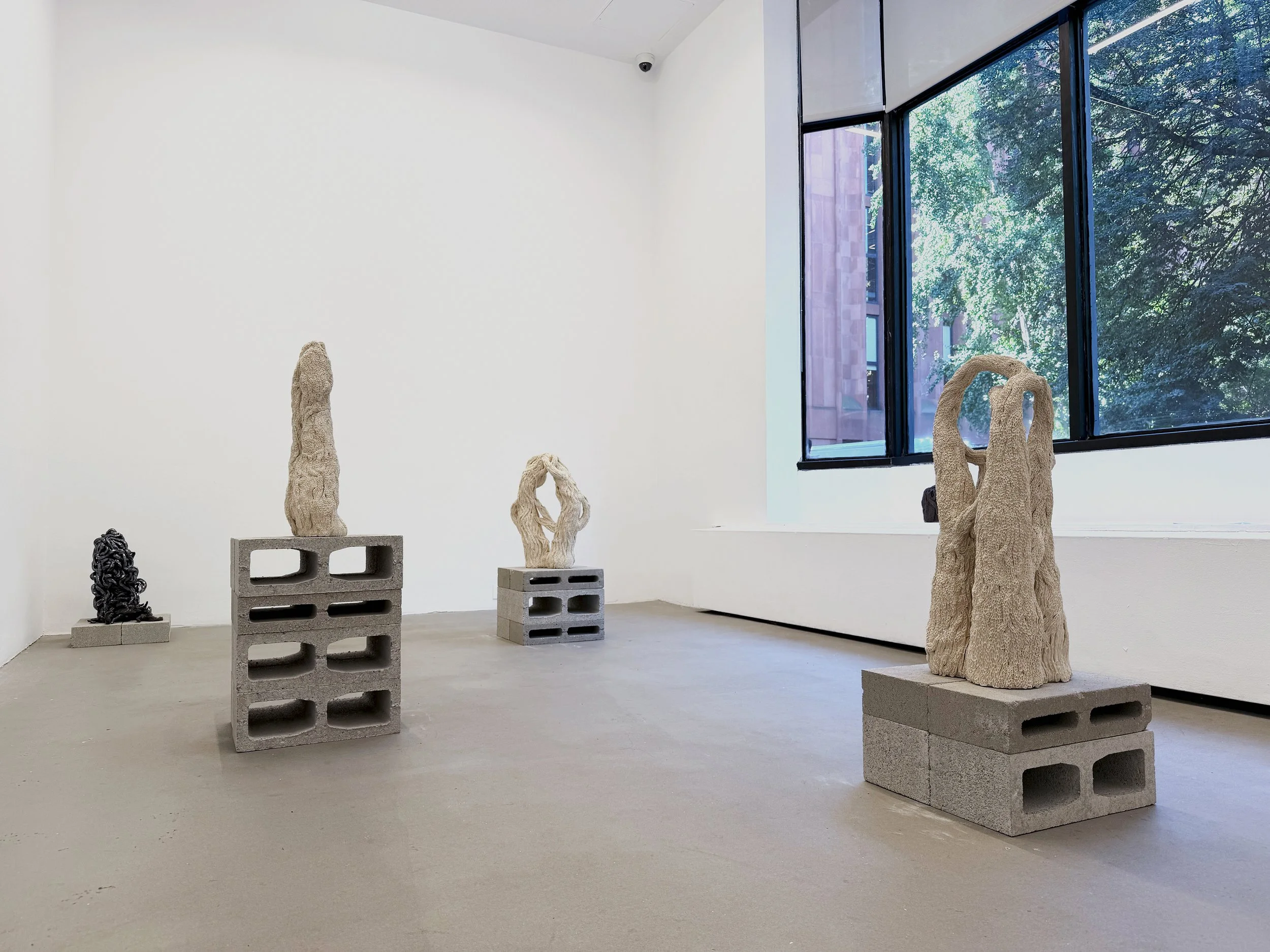  A Green Sword   80WSE  2025 