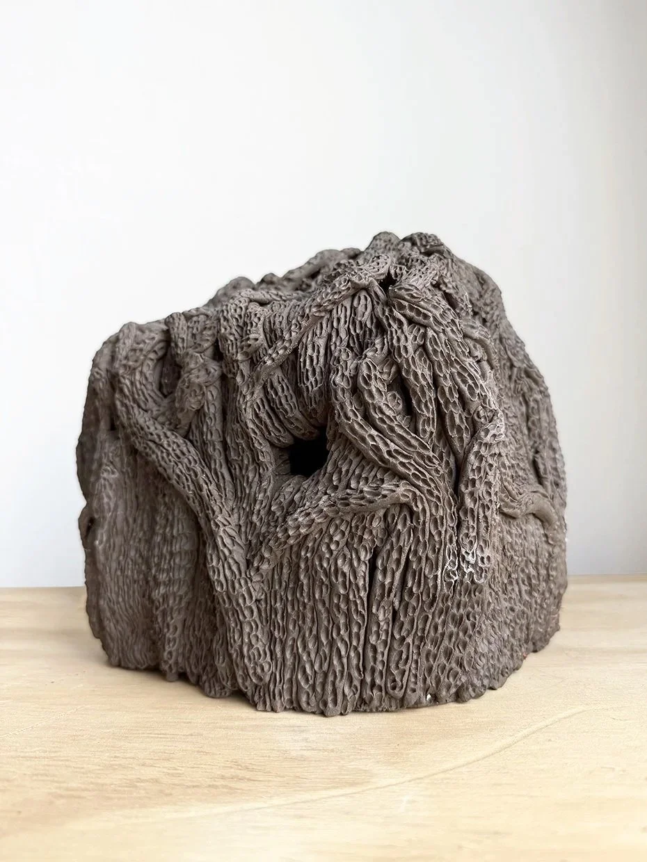   House   2025  ceramic  6.5” x 8” x 8” 