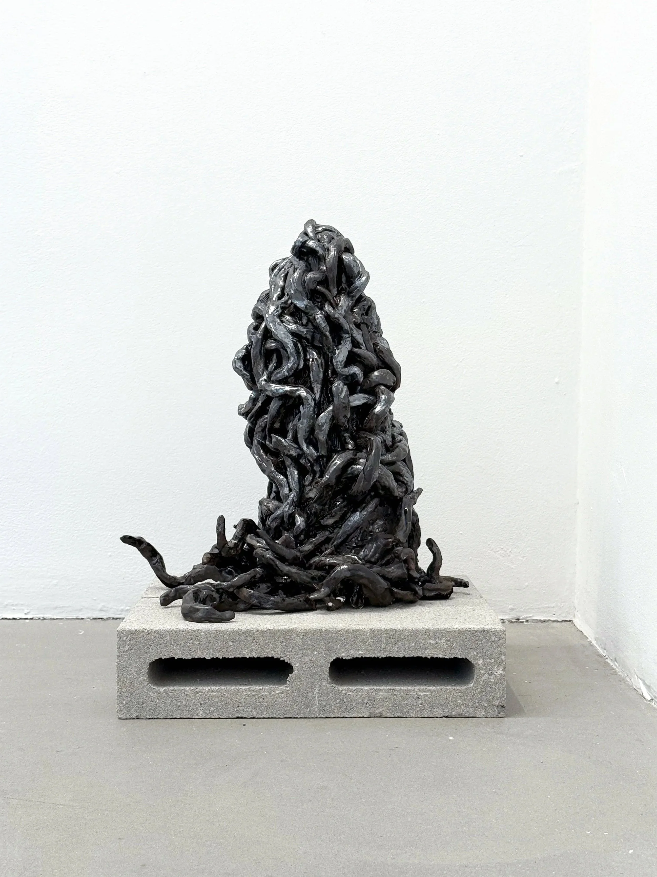   Slither Pile    2025  ceramic, glaze 