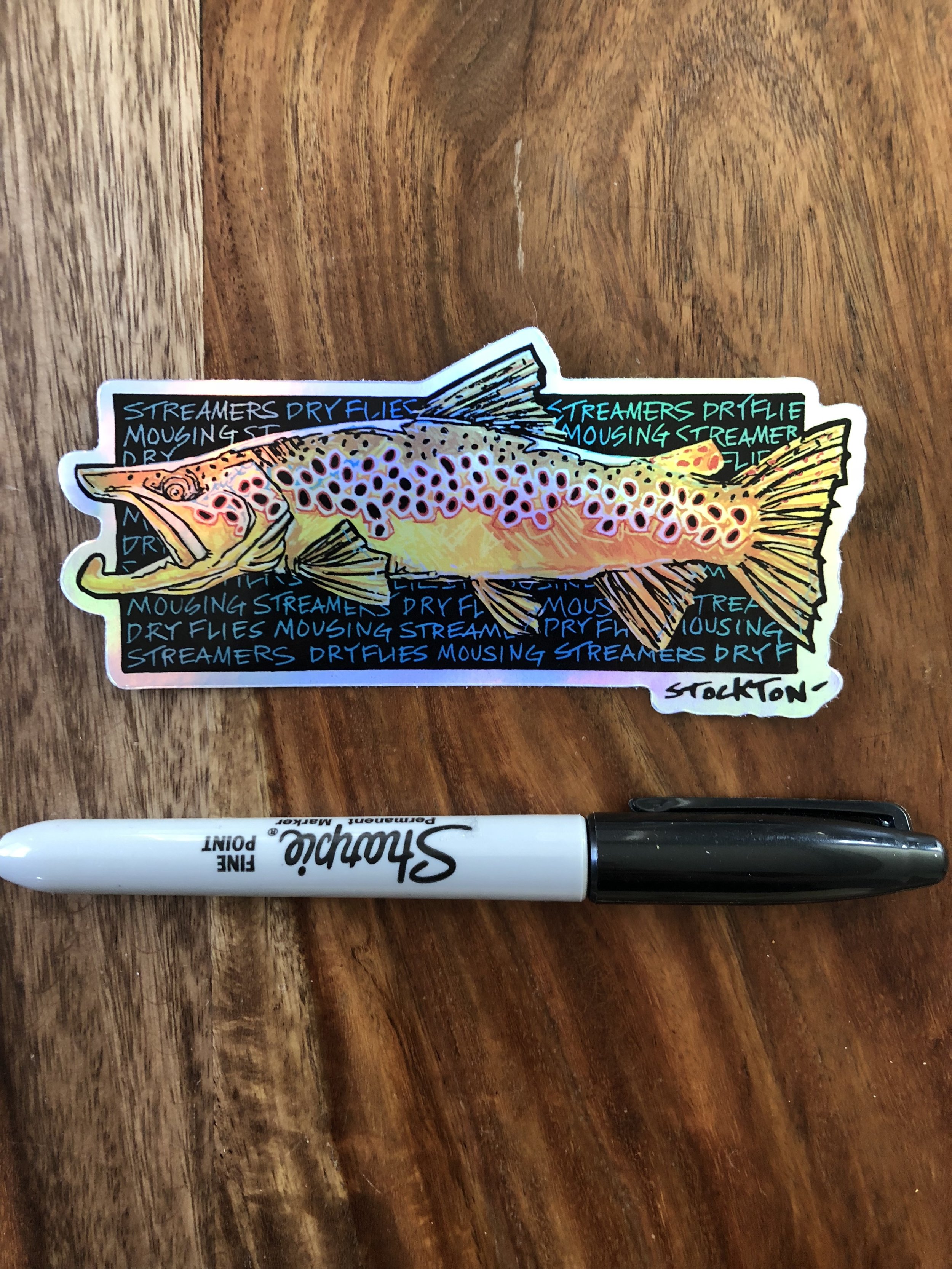 Holographic Streamers, Dry Flies, Mousing..Trout