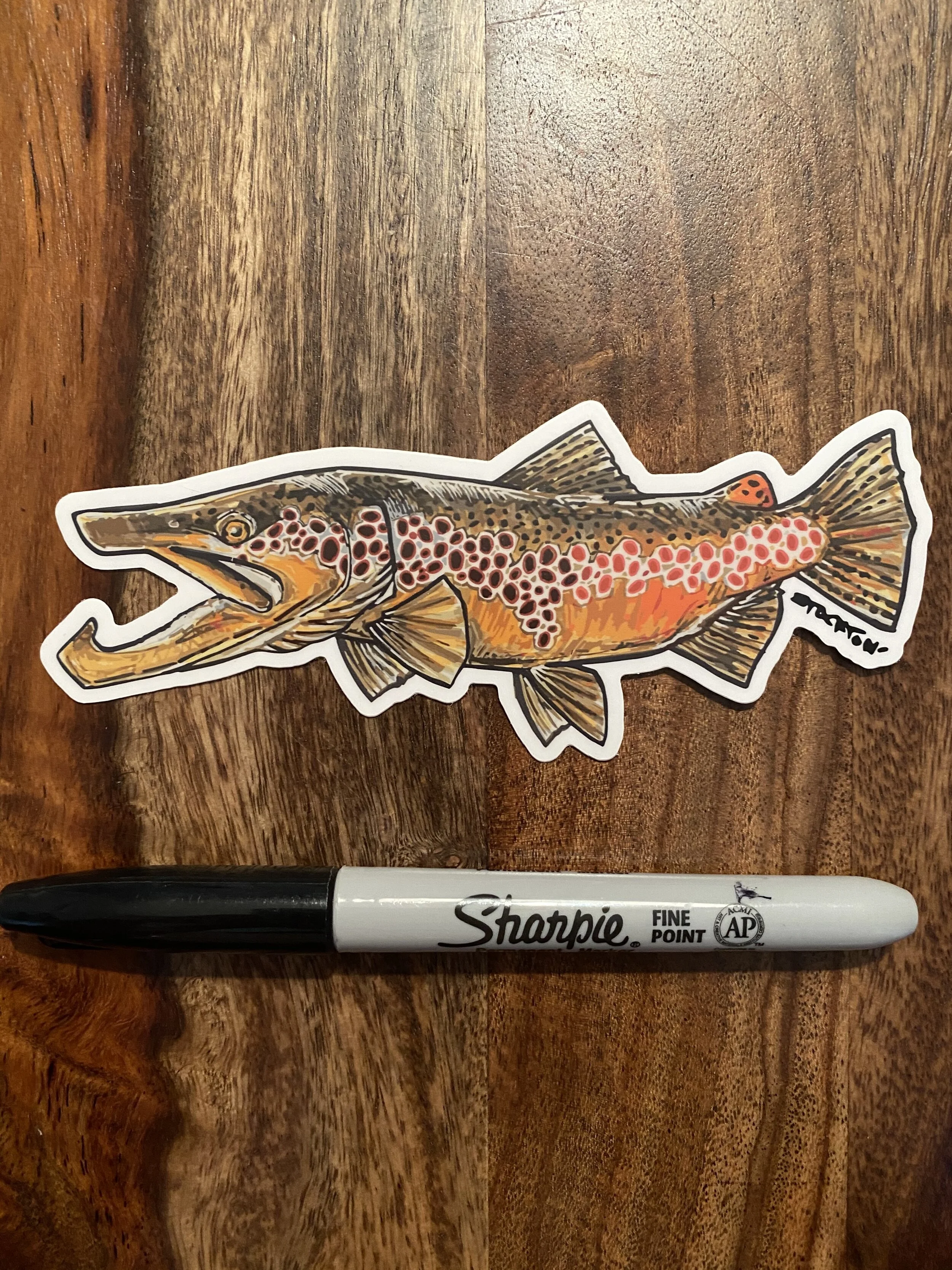 HookJaw Brown Trout