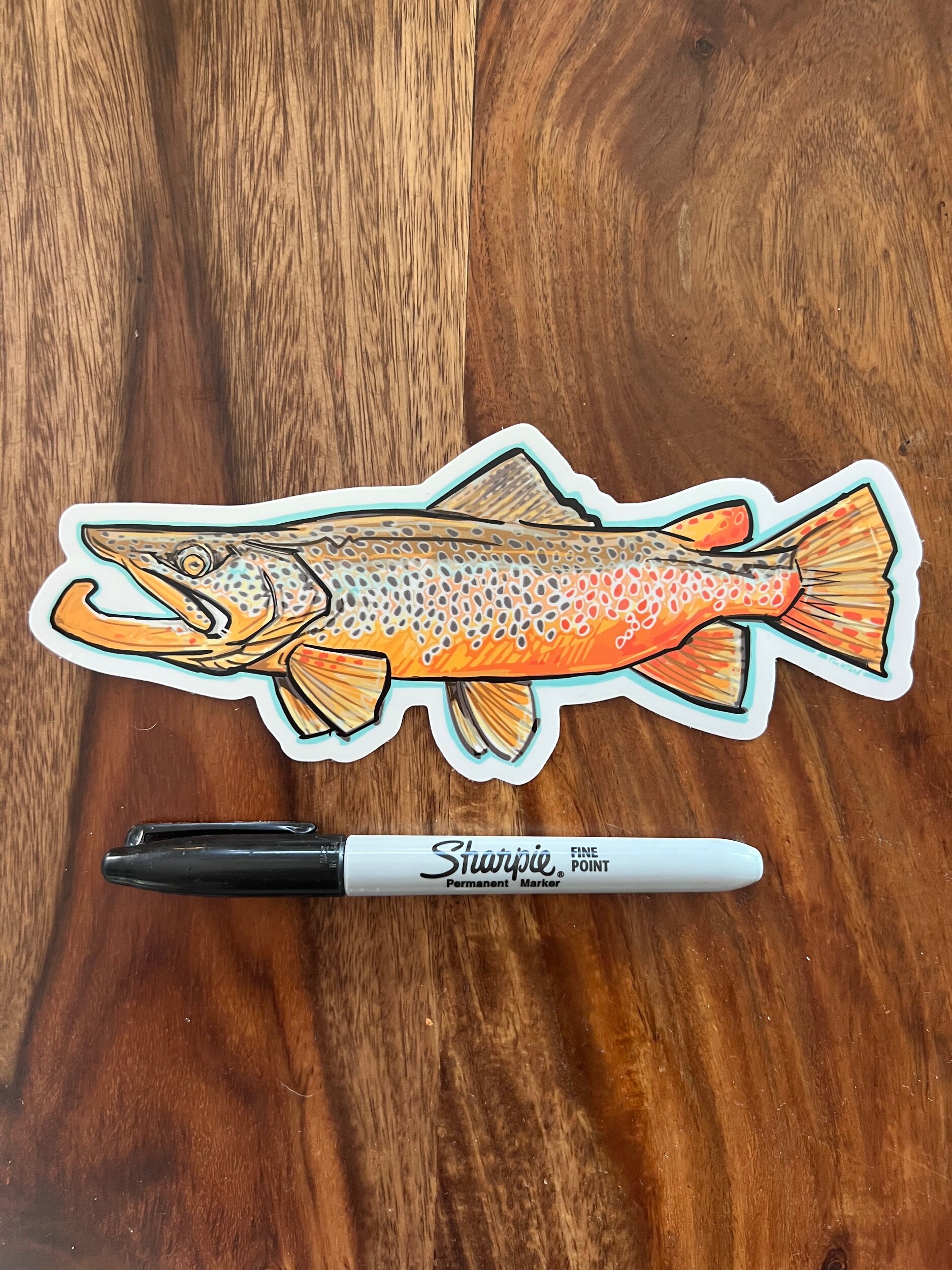 ‘24 Fall Brown Trout