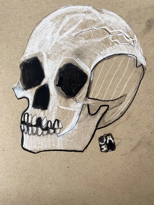 Skull_01_web.jpg