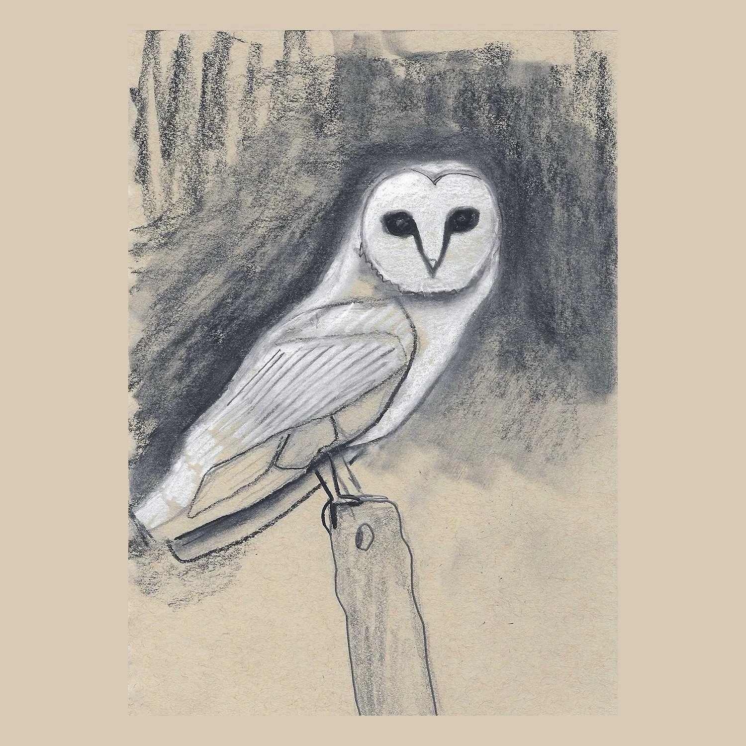 White Dream Owl 5x5.jpg