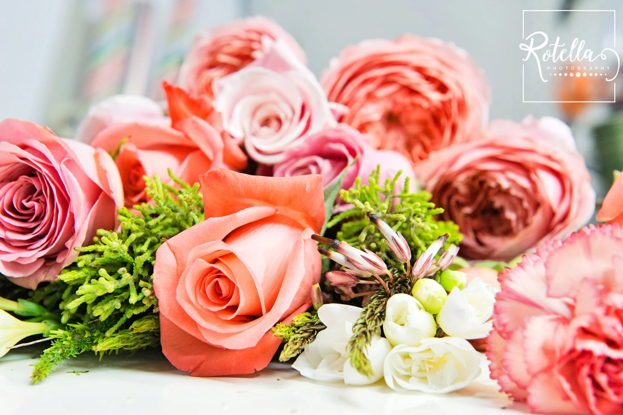 Loose peach roses by Hadley Road