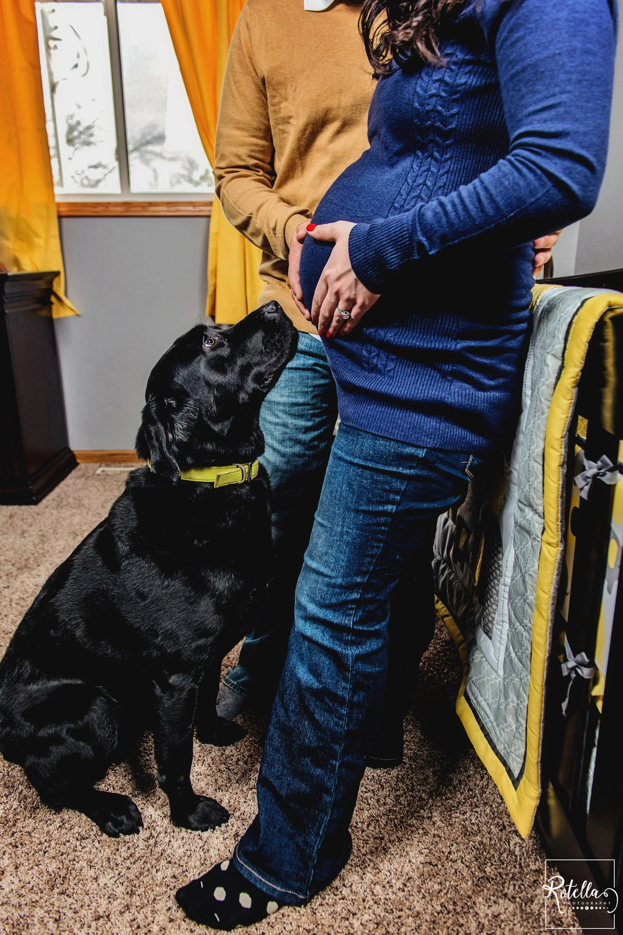Rotella Photography - maternity photography with dog