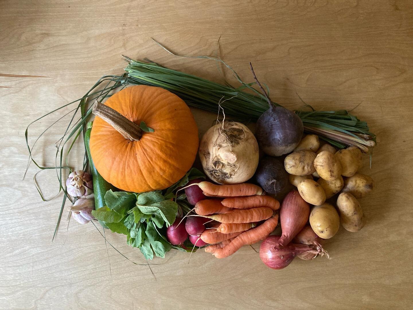 CSA from @glenvalleyorganicfarm this week: potatoes, zucchini, carrots, beets, Sugar Pie pumpkin, rutabaga, shallots, lemongrass, garlic, and radishes. #tr&eacute;sorsdumarch&eacute;