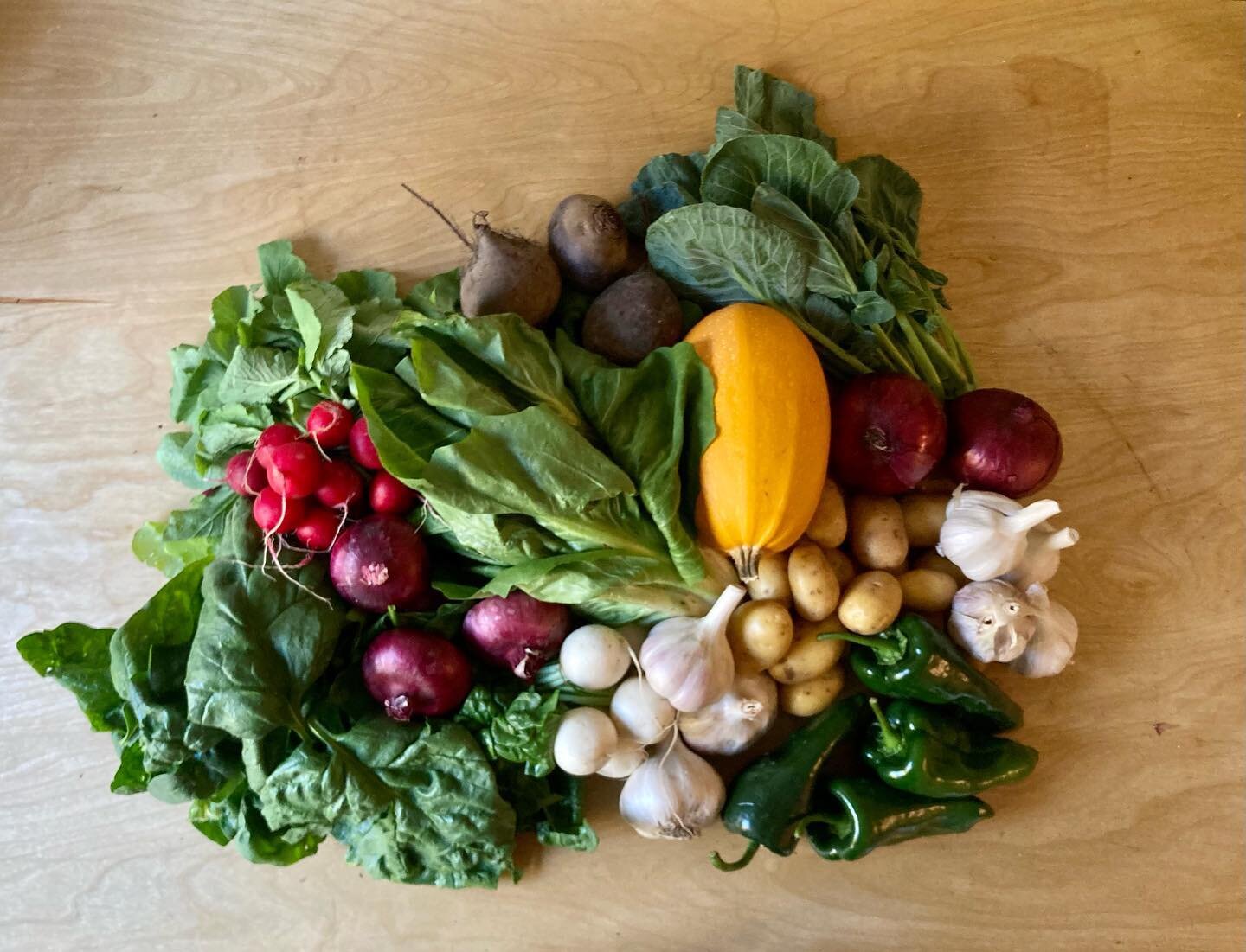 CSA from @glenvalleyorganicfarm : 
radishes, garlic, spinach, peppers, salad turnips, red onions, winter squash, brussels greens, and radicchio I thought was romaine. Bought in extra, beets, Glen Valley Red garlic, music garlic, cipollini onions, and