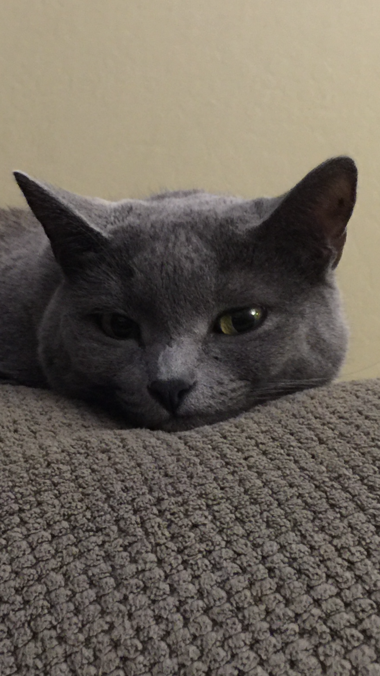 IMG_8356.PNG