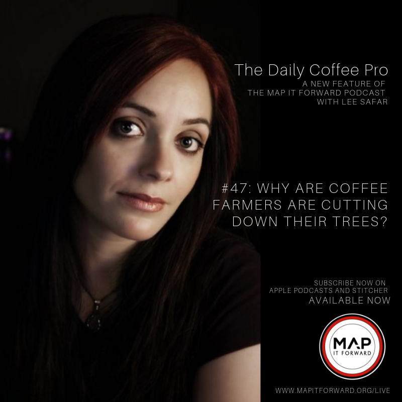 The Daily Coffee Pro |  #47 Why are Coffee Farmers Cutting Down Their Trees?