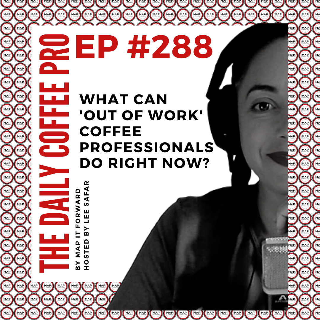 The Daily Coffee Pro | #288 What Can 'Out of Work' Coffee Professionals Do Right Now?