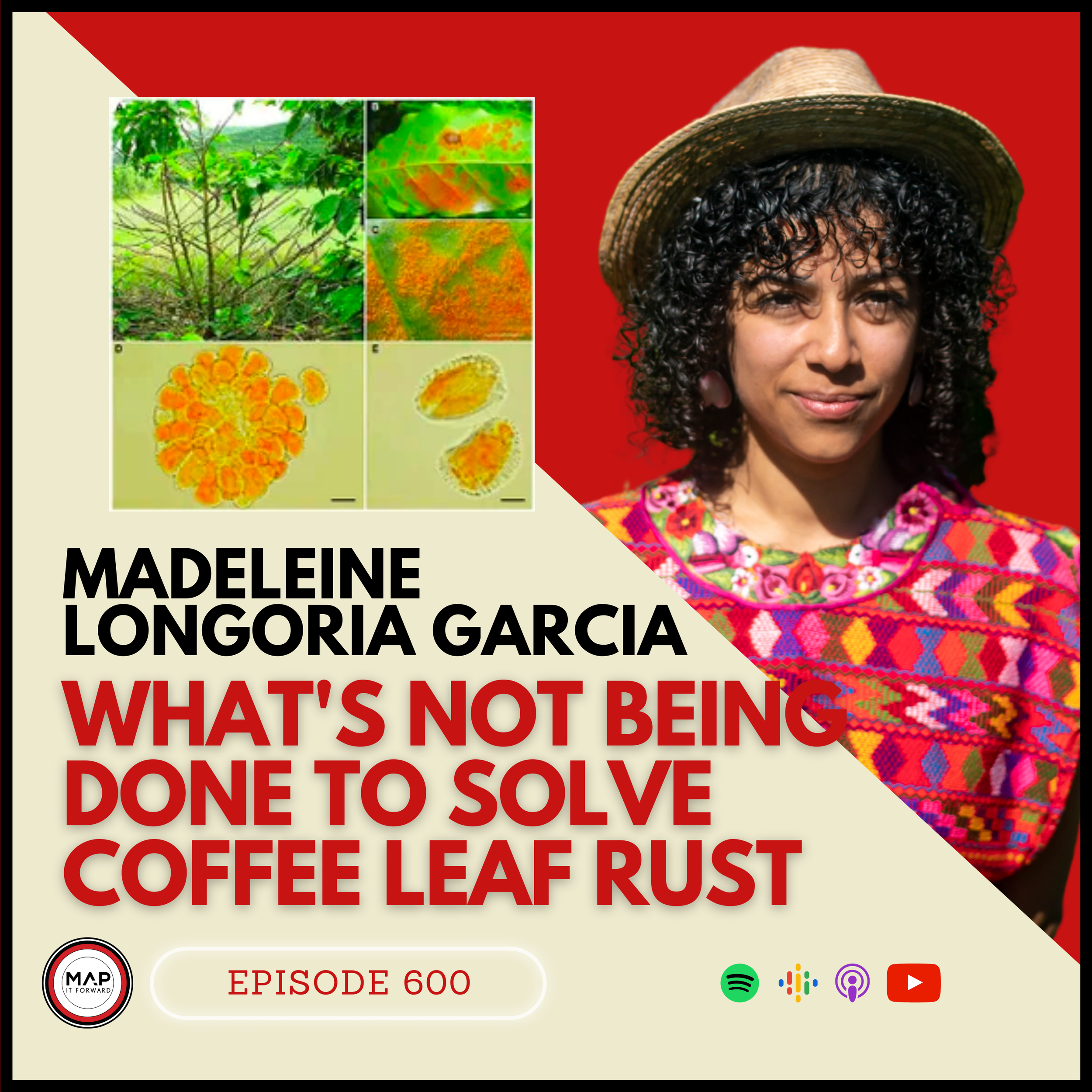 #600 Madeleine  Longoria Garcia: What's Not Being Done to Solve Coffee Leaf Rust