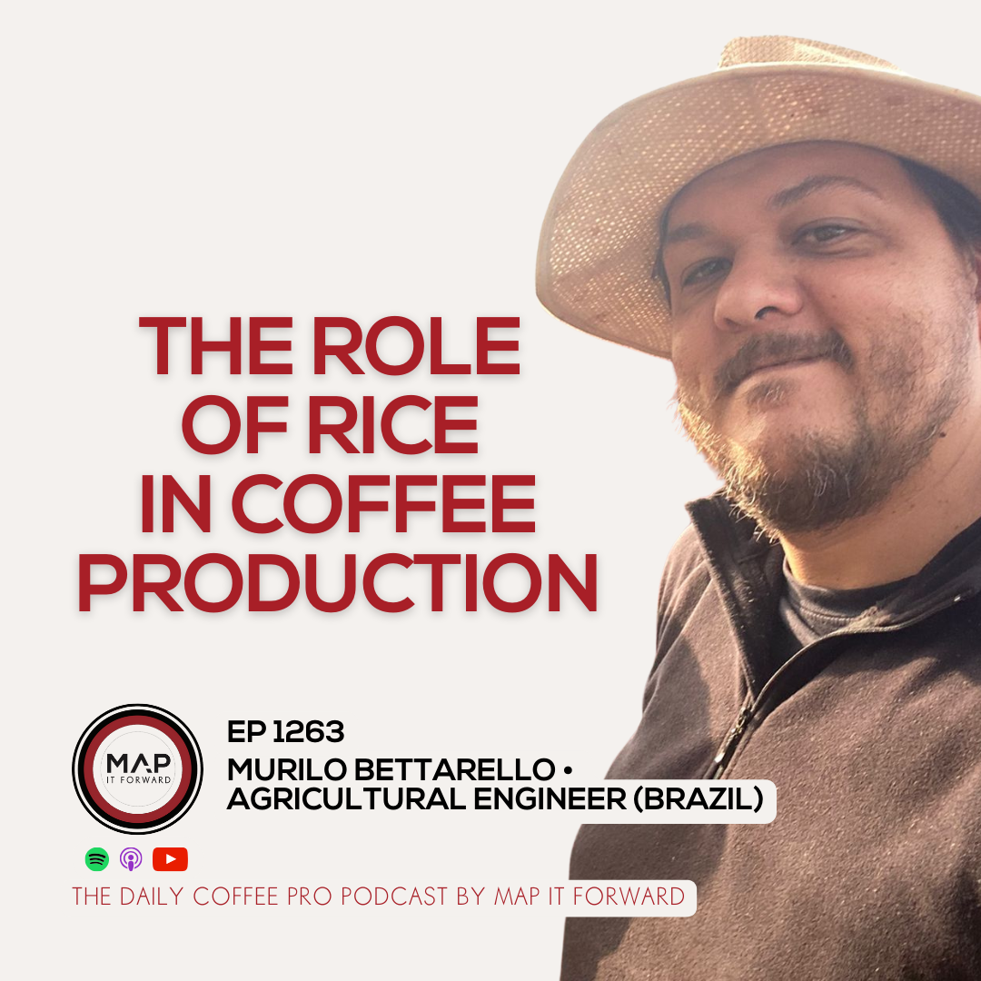 EP 1263 [ENCORE] Murilo Bettarello - Local Knowledge in Coffee Farming: Sustainable Practices for High Yields - The Daily Coffee Pro Podcast by Map It Forward