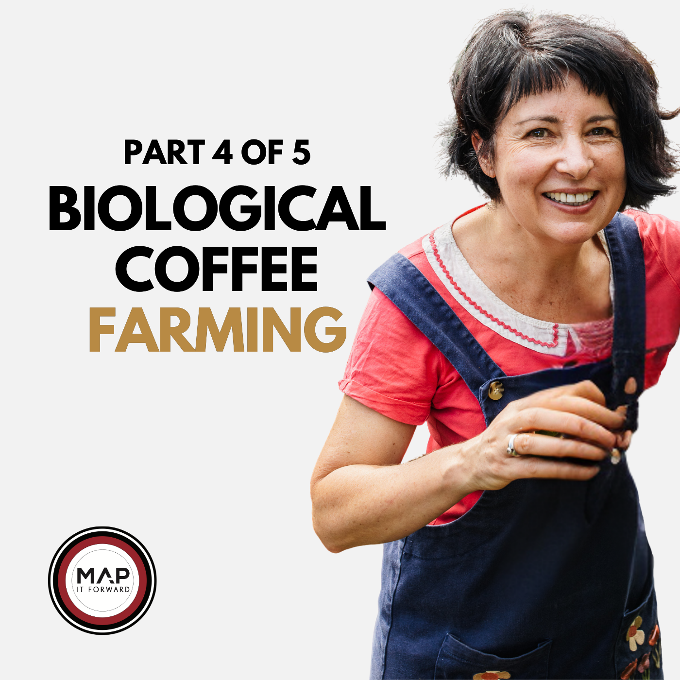 1549 | Part 4 of 5 | Biological Coffee Farming in Australia (Rebecca Zentveld)