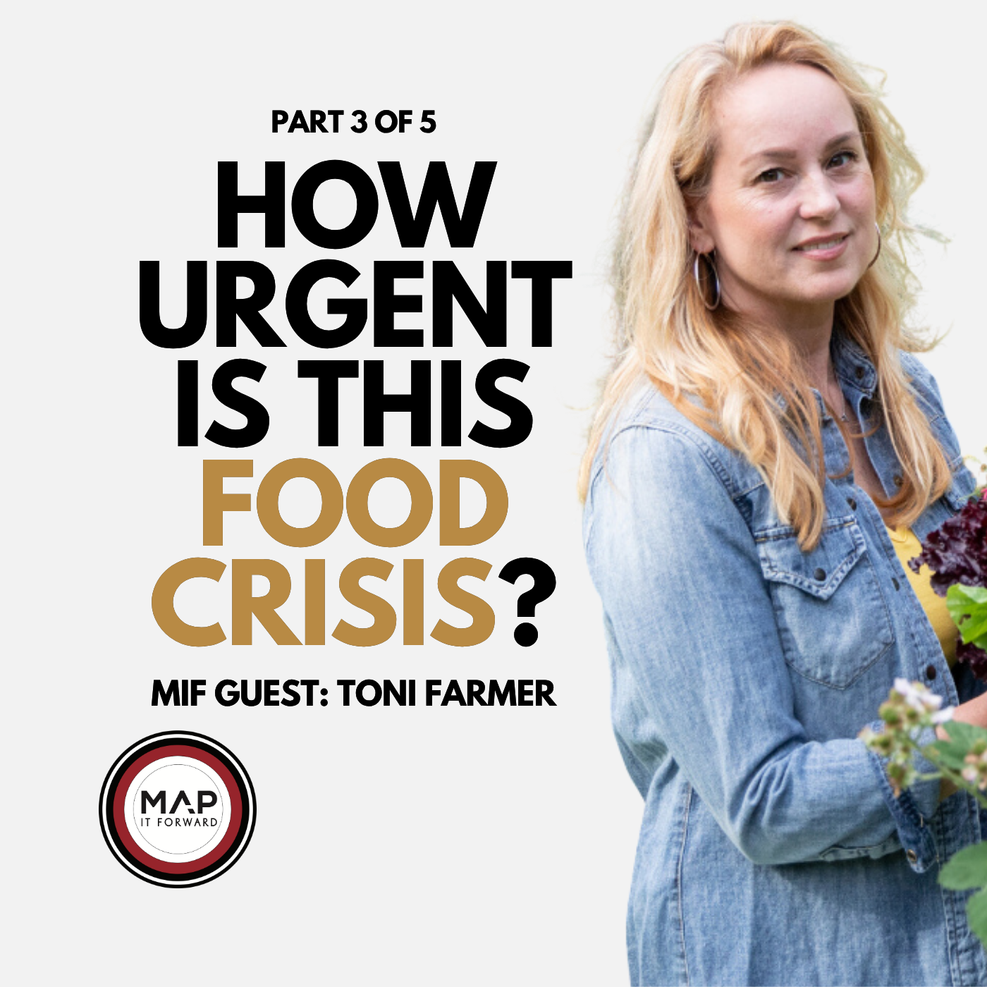 EP 988 | Part 3 of 5 | How Urgent Is the Global Food Crisis? (Toni Farmer) episode artwork