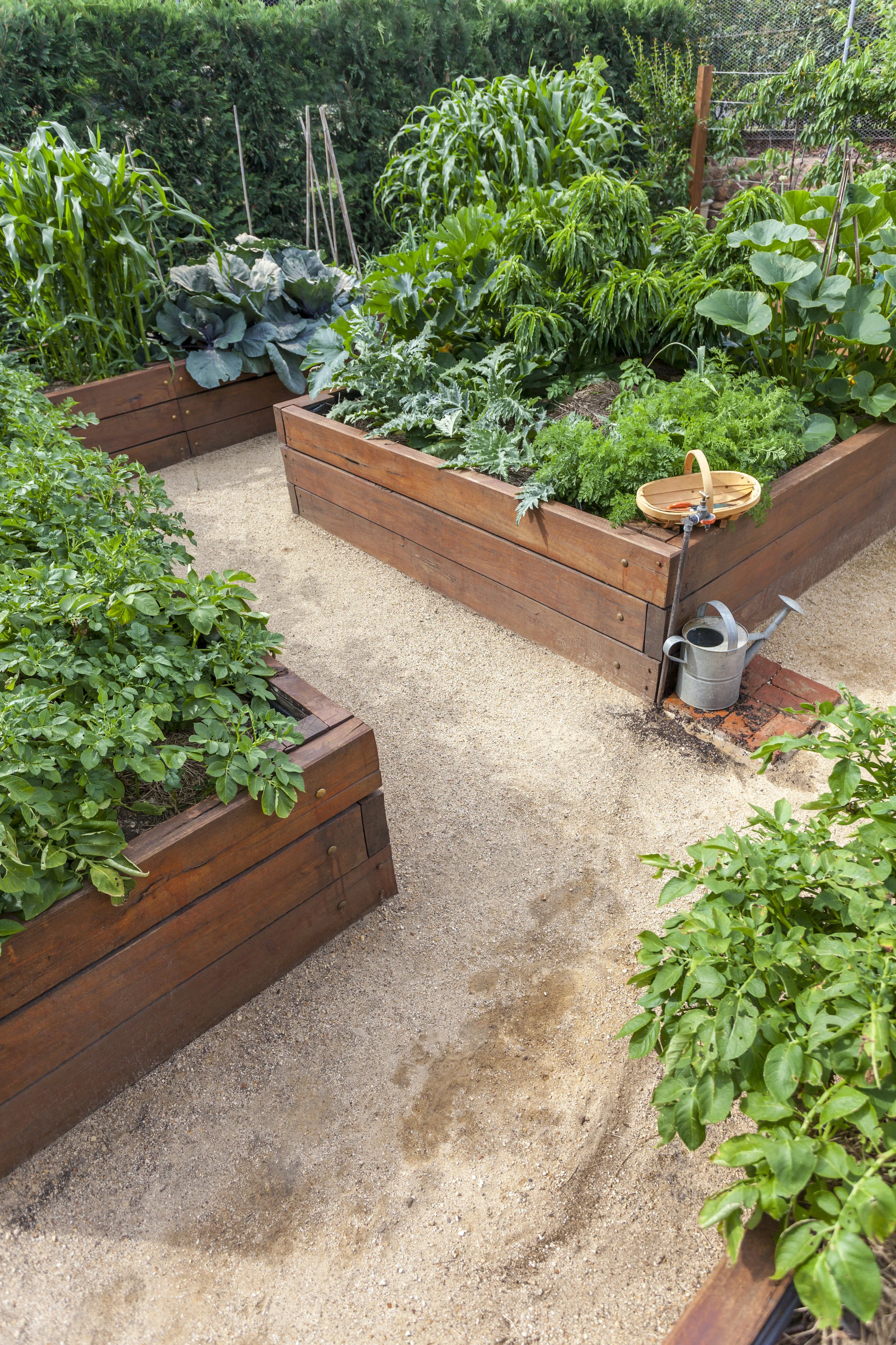 raised bed gardening on Raised Bed Garden Build Workshop Phattoria