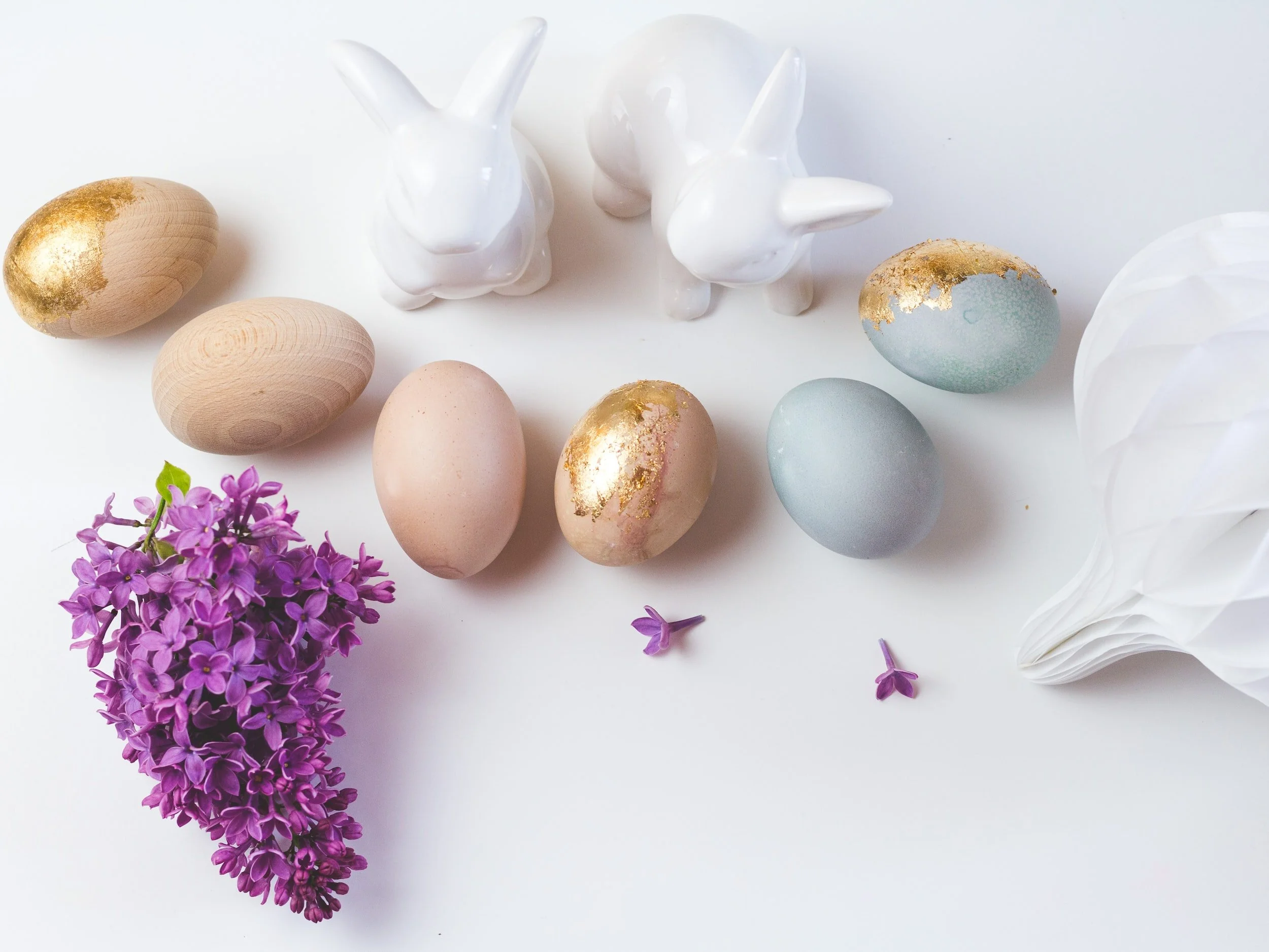 April 2023 Newsletter