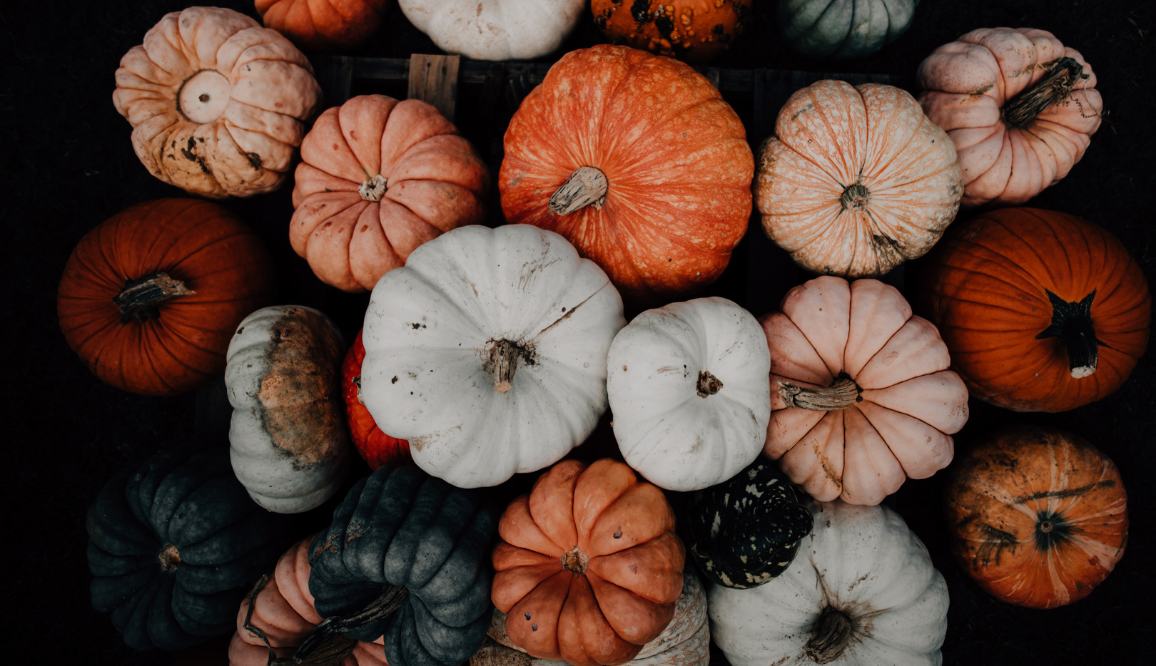 September 2026 Newsletter