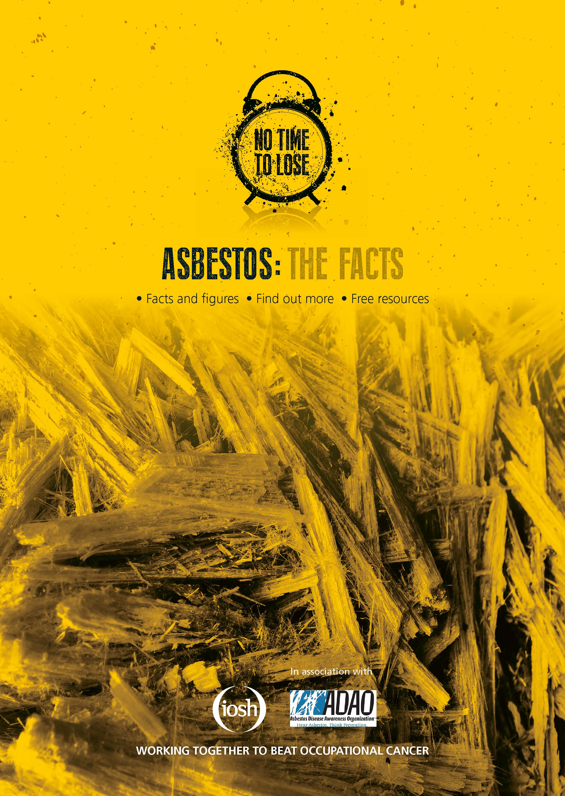 CD0856 NTTLADAO co-branding Factsheet_Page_01.jpg