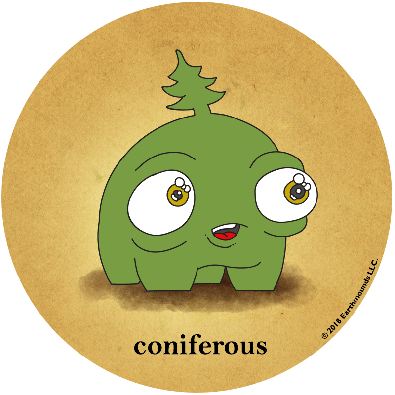 coniferous.png