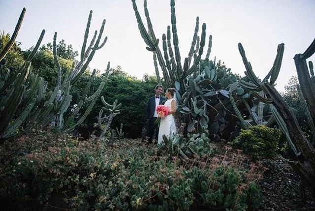 🌵🌵🌵 #annatomlinsonphotography #finsplantationhouse #kingscliffe #kingscliffewedding #newsouthwaleswedding #toowoombaphotographer #toowoombaweddingphotographer
