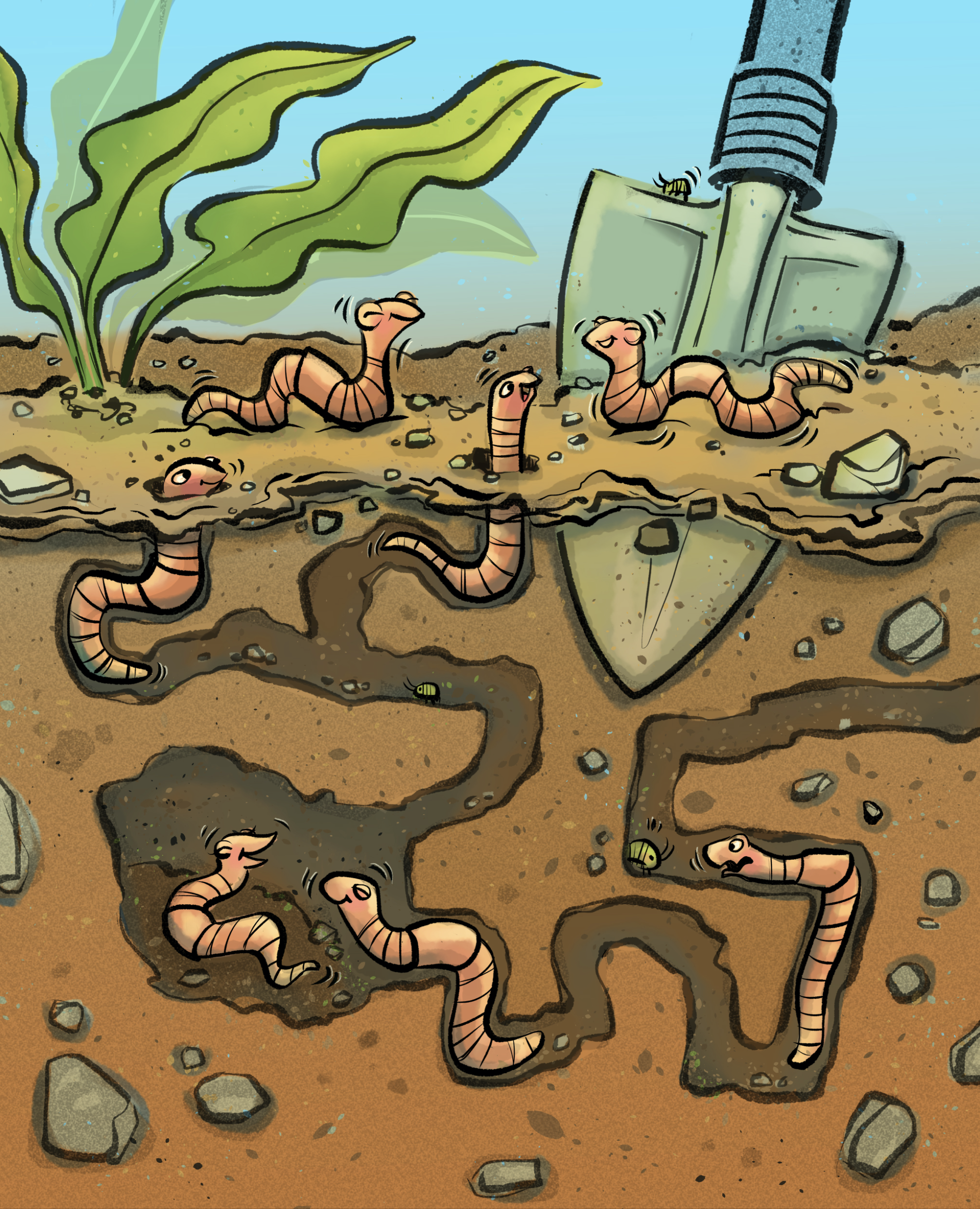 Earth worms digging in the dirt