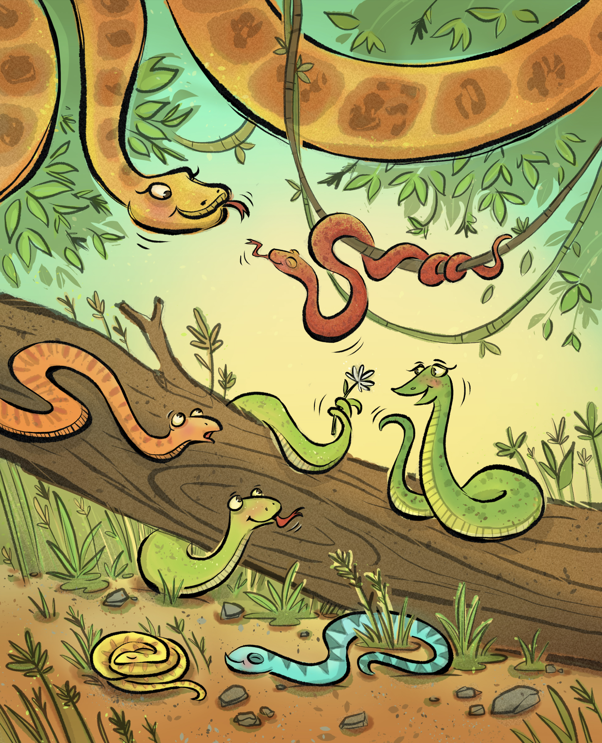 Colorful group of snakes in the jungle