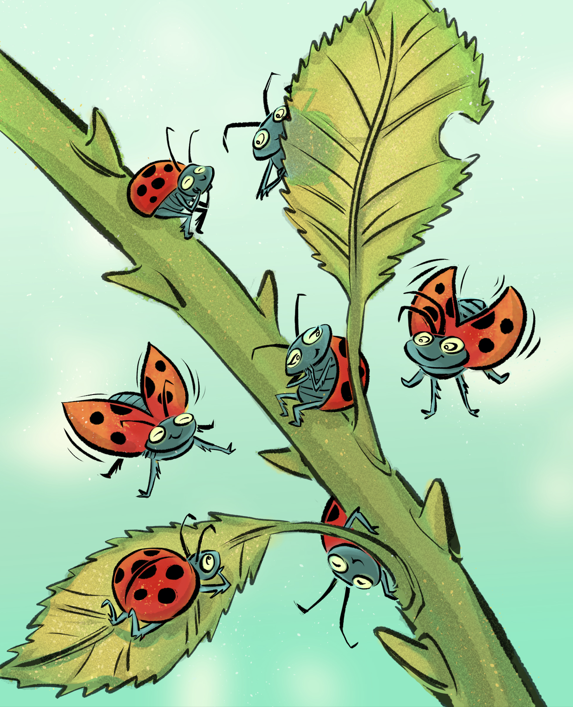 Lady Bugs