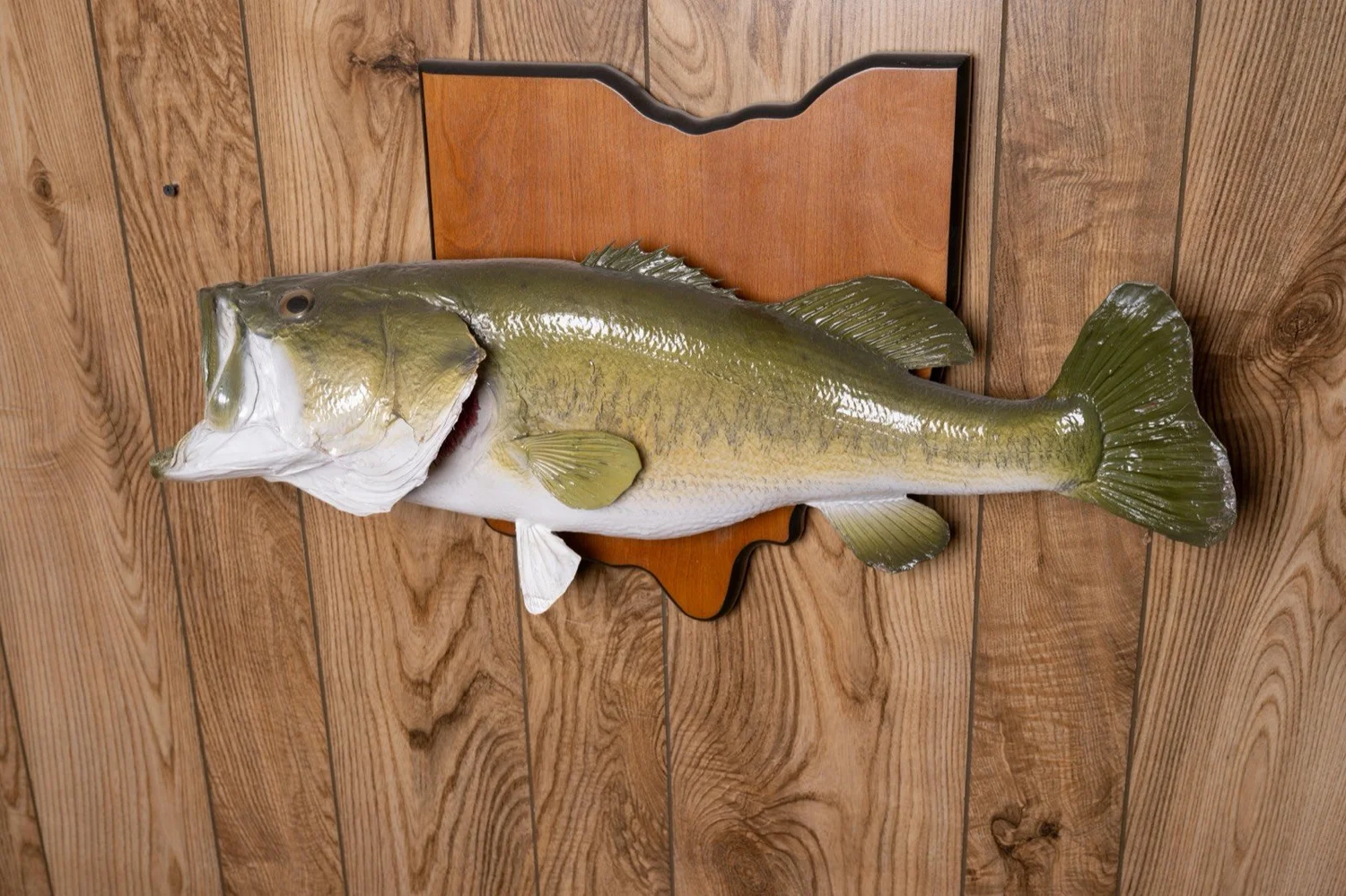Largemouth Bass, 8 lbs, 24", Ohio panel, view 2