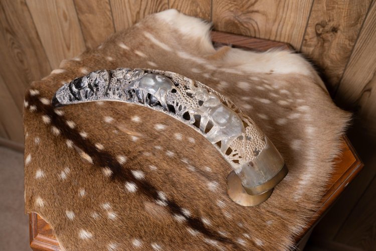 South African water buffalo horn with carvings