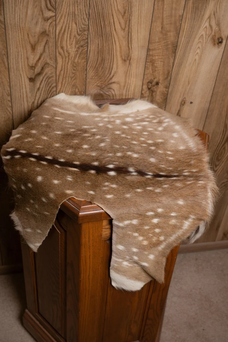 Fallow deer, tanned hide
